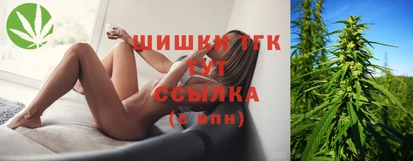 соль курить ск Алзамай