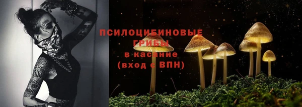 PSILOCYBIN Алексеевка