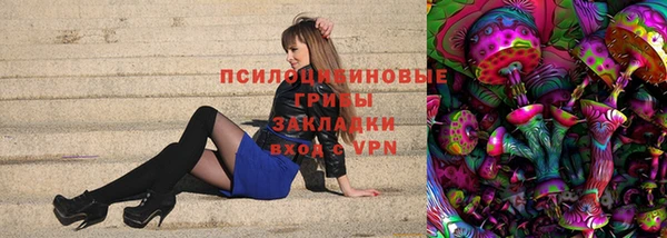прущие крисы Алексин