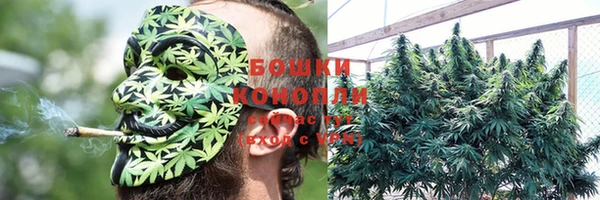 PSILOCYBIN Алексеевка