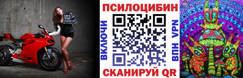 Галлюциногенные грибы Cubensis Шуя